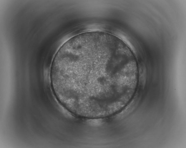 X0000112010810200908101341