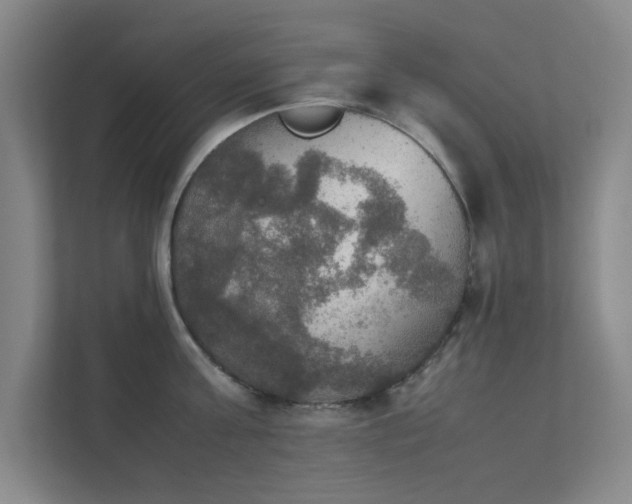 X0000112010811200908101341