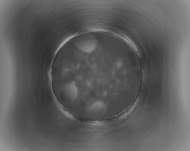 X0000112010814200908101341