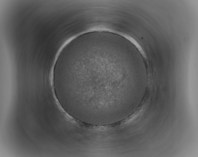 X0000112010815200908101341