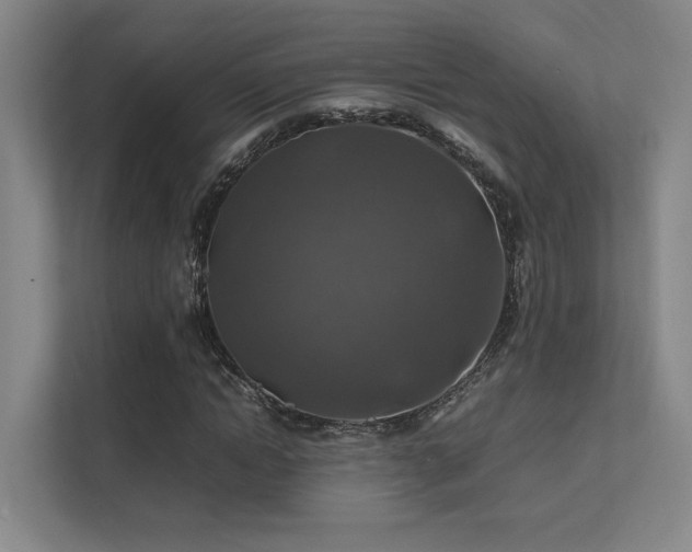 X0000112010822200908101340