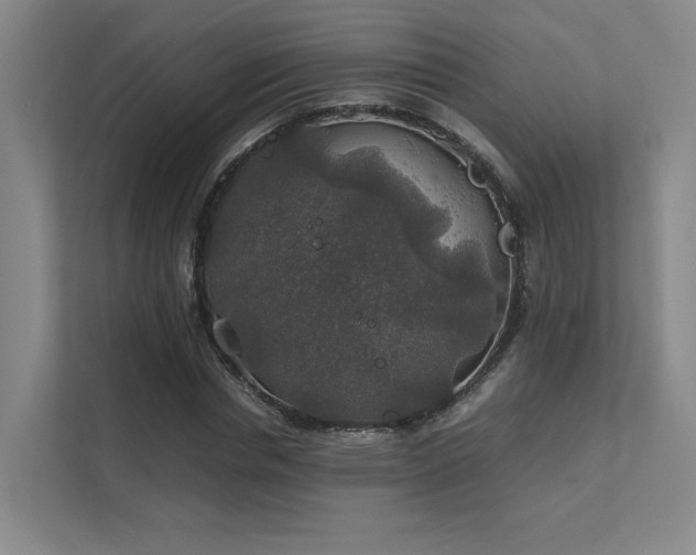 X0000112010826200908101340