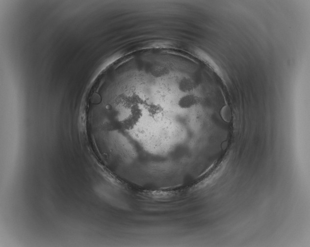 X0000112010827200908101340