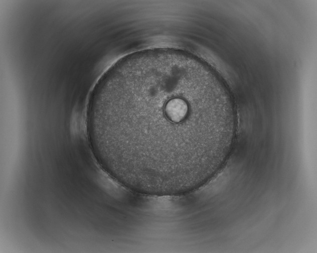 X0000112010828200908101340