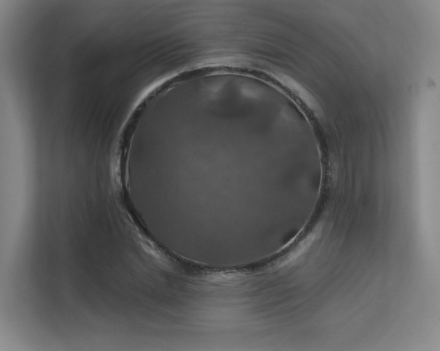 X0000112010830200908101340