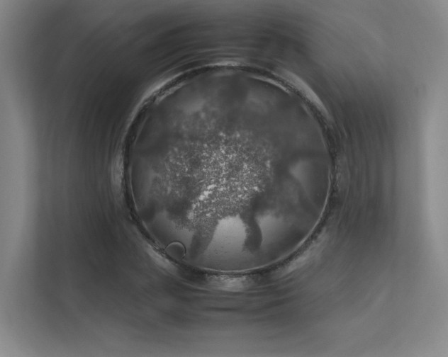 X0000112010831200908101340