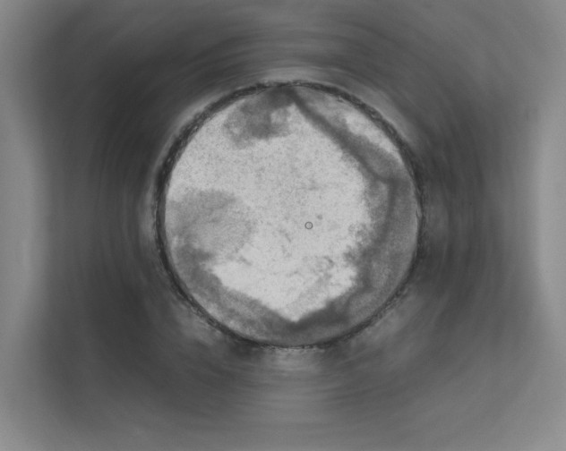 X0000112010832200908101340