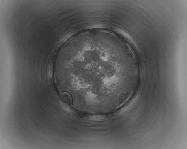 X0000112010833200908101340