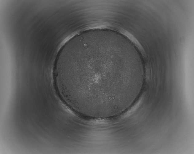 X0000112010834200908101340