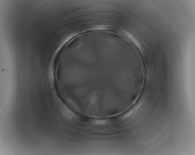 X0000112010835200908101340