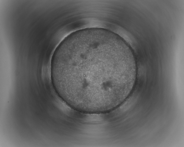 X0000112010836200908101340