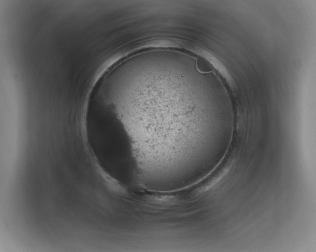 X0000112010837200908101340