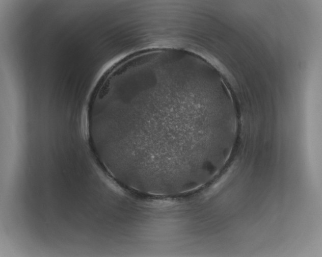 X0000112010838200908101340