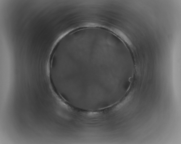 X0000112010839200908101340