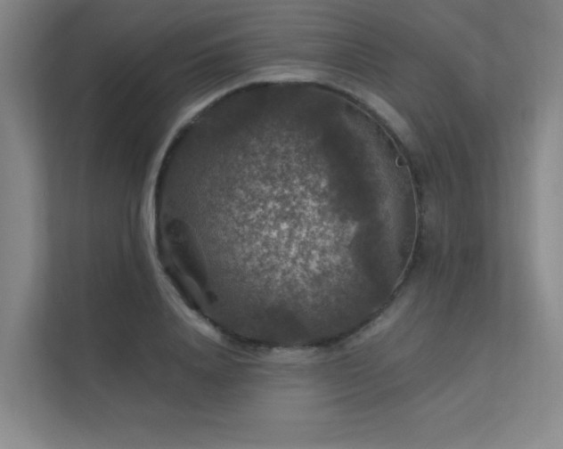 X0000112010840200908101340