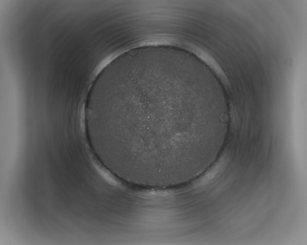 X0000112010842200908101340