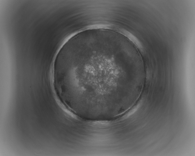 X0000112010844200908101340