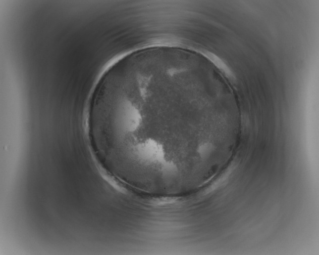 X0000112010846200908101340