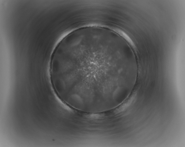 X0000112010847200908101340