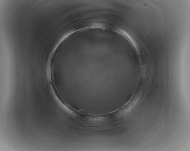 X0000112010851200908101340