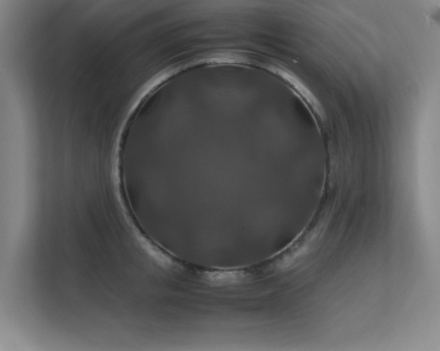 X0000112010853200908101340