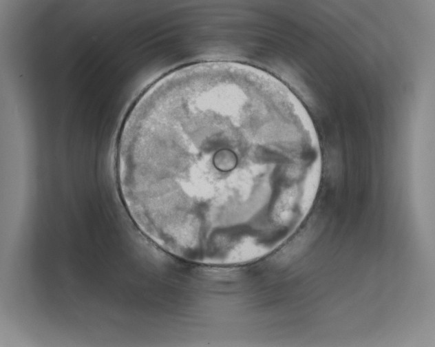 X0000112010856200908101340