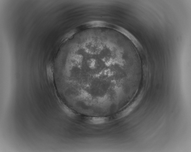 X0000112010857200908101340