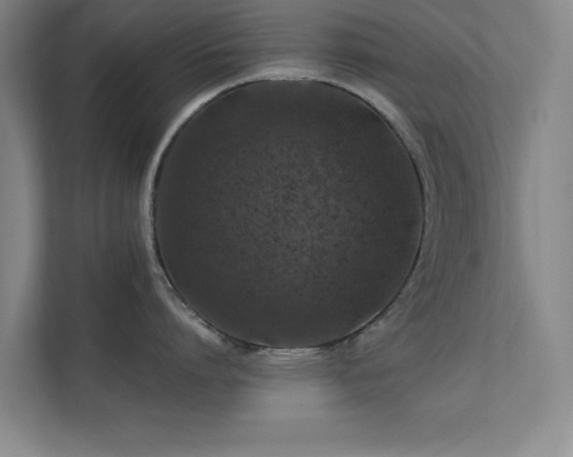 X0000112010864200908101341