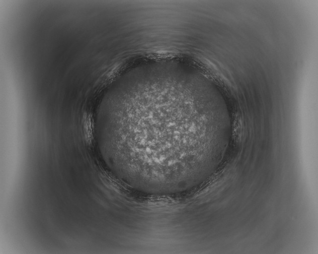 X0000112010866200908101340