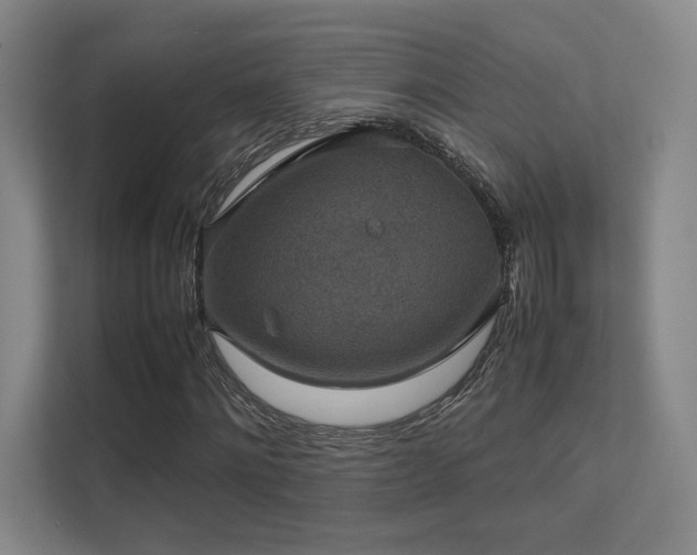 X0000112010868200908101340