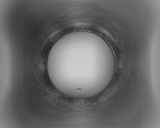 X0000112010869200908101340