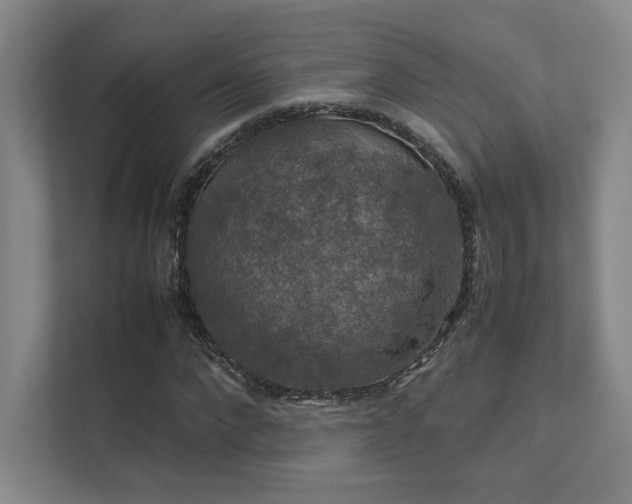 X0000112010872200908101340