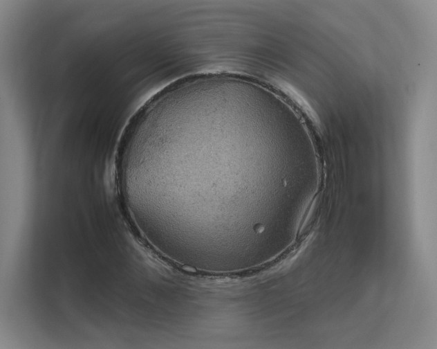 X0000112010876200908101340