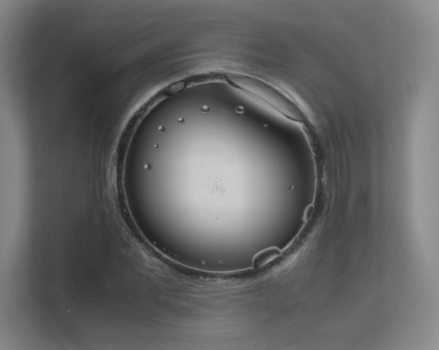 X0000112010877200908101340