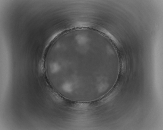 X0000112010878200908101340