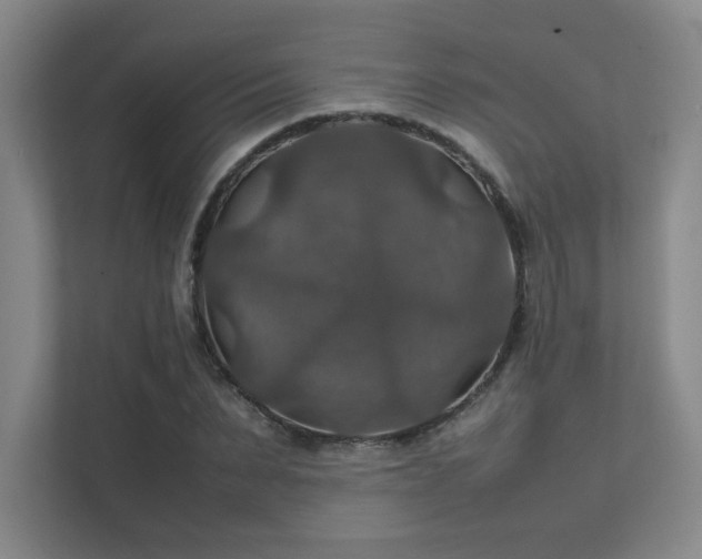 X0000112010879200908101340