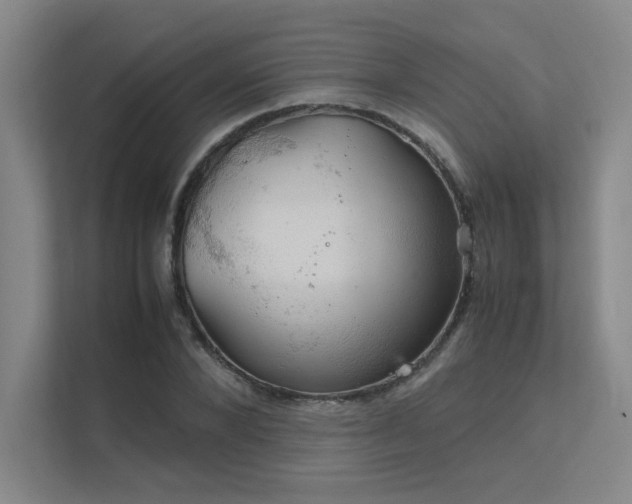 X0000112010880200908101340