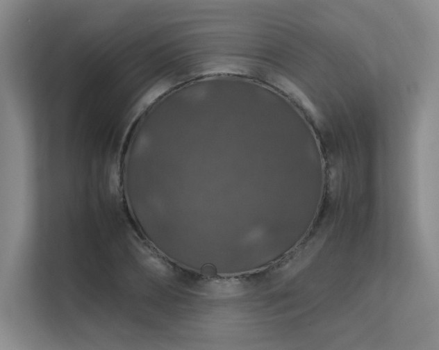 X0000112010882200908101340