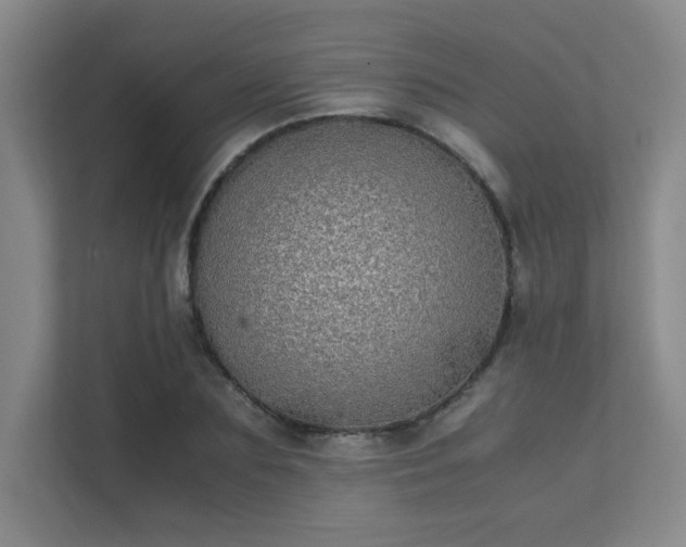 X0000112010883200908101340