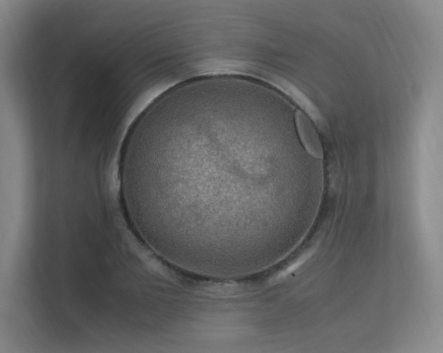 X0000112010885200908101340