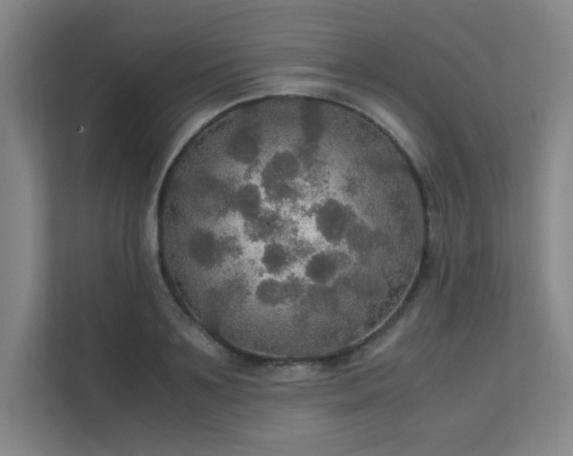 X0000112010891200908101340