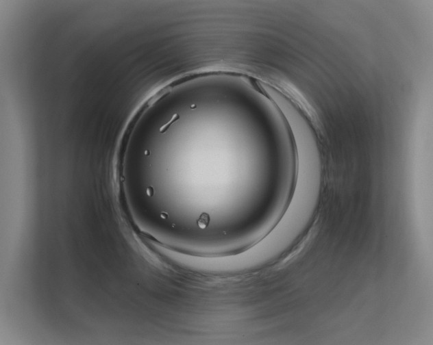 X0000112010892200908101340