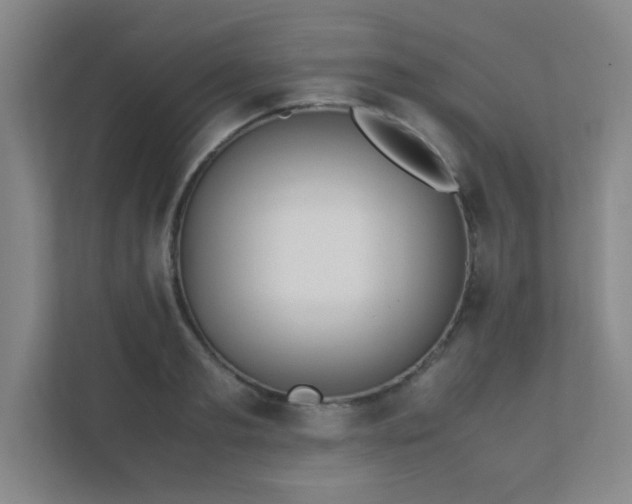 X0000112010893200908101340