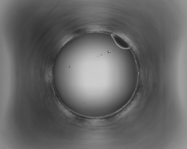 X0000112010897200908101339