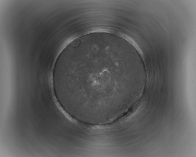 X0000112010898200908101339