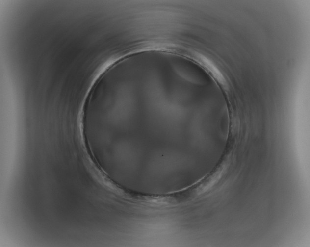 X0000112010899200908101339