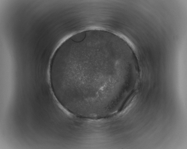 X0000112010902200908101339