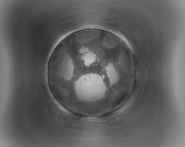 X0000112010903200908101339