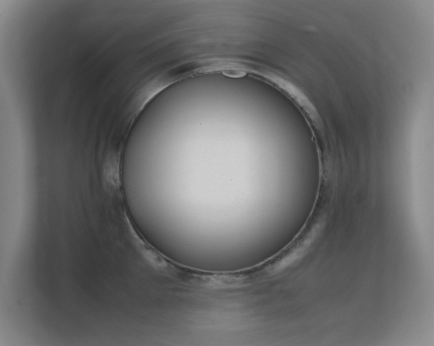 X0000112010905200908101339