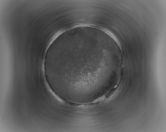 X0000112010906200908101339